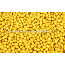 Yellow mung beans